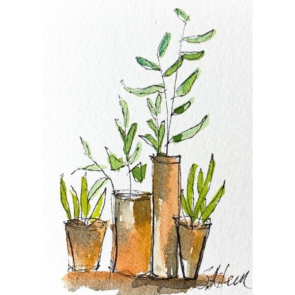 ACEO Painting Watercolor Ink Plants in Terracotta Pots Botanical Minimal Signed - Picture 1 of 2